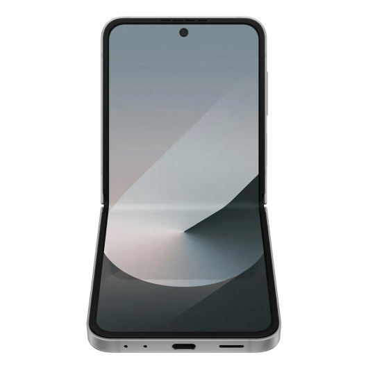 Samsung Galaxy Z Flip 6 12/256Gb РСТ Серый